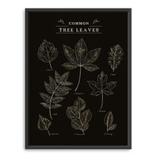 Leaves