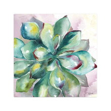 Succulent Watercolor I