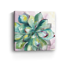 Succulent Watercolor I