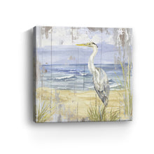 Birds of the Coast Rustic II