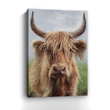 Highland Portrait II