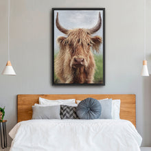 Highland Portrait II