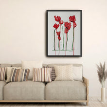 Papaver