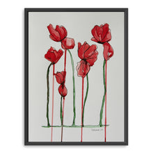 Papaver