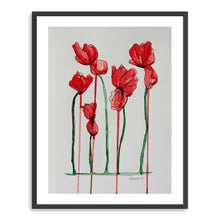 Papaver