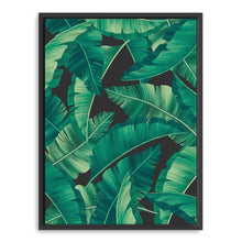 Tropical Leaves II