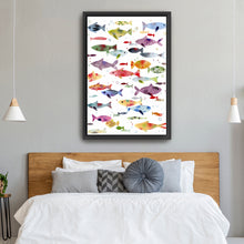 Colorful Fish
