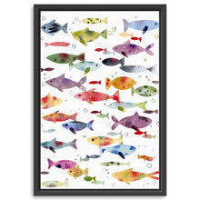 Colorful Fish
