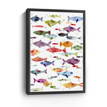 Colorful Fish